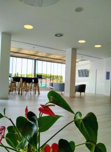 ImagenAugusta Barcelona Vallès 3