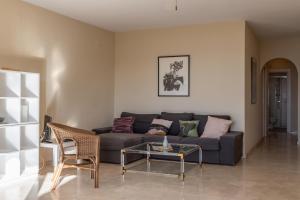 ImagenLos Girasoles 5