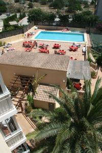 ImagenApartamentos Palm Court 5