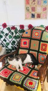 ImagenCasa bien situada y acogedora. Preciosas vistas 3