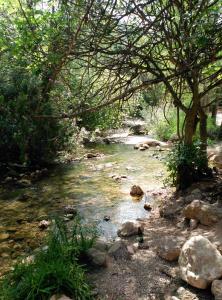 ImagenLa Casa de la Abuela Clotilde 7