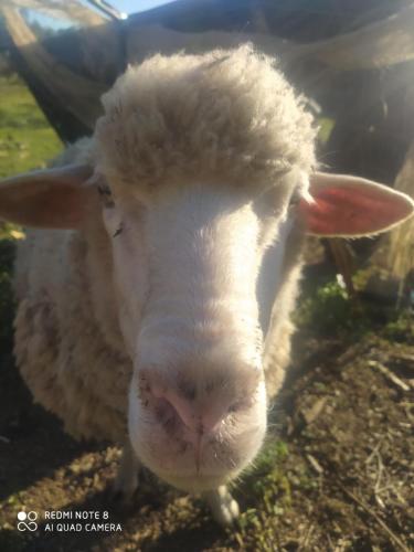 ImagenHostal restaurante finca mirador 2