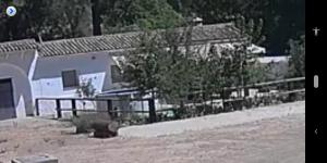 ImagenLa Umbría de la ribera 5