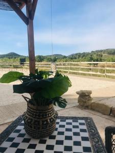 ImagenRancho de Sueños 6