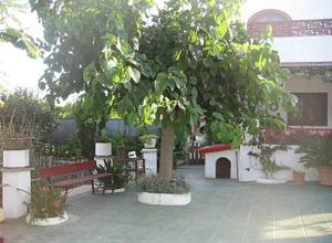 ImagenCASA RURAL CAL JOSEFINA & TOMAS 6