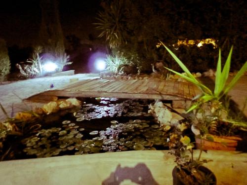 ImagenMas La Trampa 2