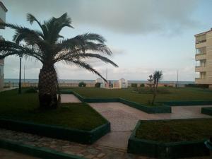ImagenBel appartement au bord de la mer, à moins de 20 mètres de la plage 5