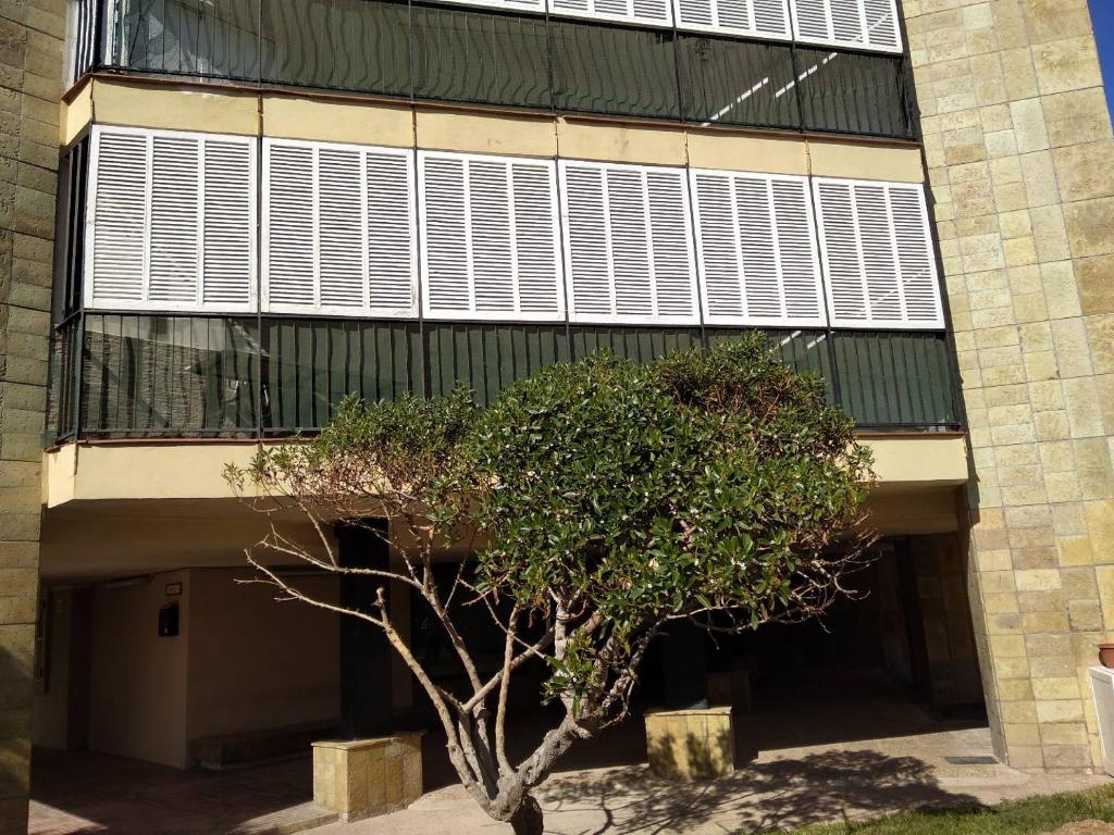 Apartamento acogedor en primera línea de marimagen principal