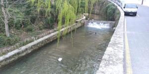 ImagenCASA LOS PATOS 5