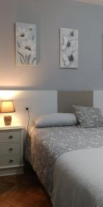 ImagenApartamento Camino de Santiago 2 4