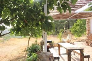 ImagenEsencia Lodge - luxurious off-grid cabin retreat 6