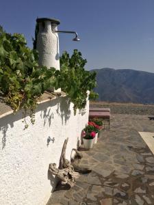 ImagenCortijo Solera 6