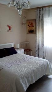 ImagenAlojamiento en Oviedo 3