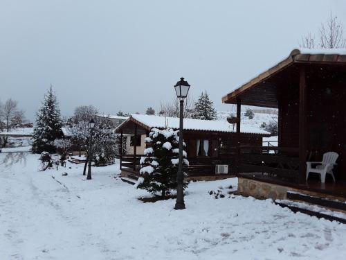 ImagenFuente Del Arca 2