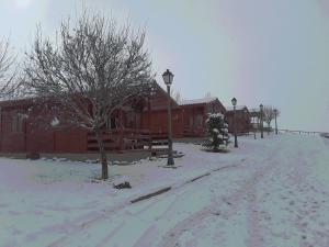 ImagenFuente Del Arca 5