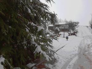 ImagenFuente Del Arca 6