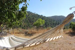 ImagenEsencia Lodge - luxurious off-grid cabin retreat 4