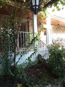 ImagenCasa MiraXurés con vistas a la Sierra del Xurés 8