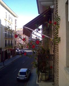 ImagenPension La Vega 3