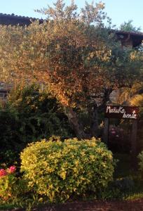 ImagenMañuko Benta 3