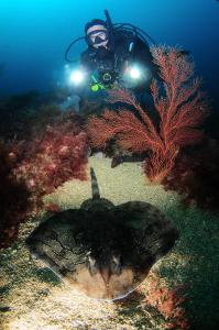 ImagenAPARTAMENTOs URDAIBAI 1 4