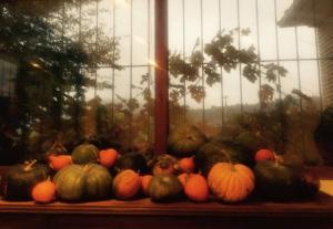 ImagenEl Quinto Pino 3