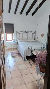 ImagenCasa de Pueblo La Pinilla 10