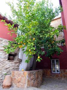 ImagenCasa Rural La Perra Gorda 5