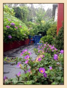 ImagenApartamentos Guidan 4