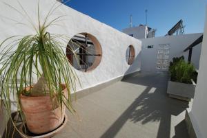 ImagenKoala Tarifa 5