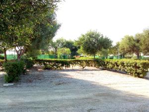 ImagenCamping Cuevas Mar 4