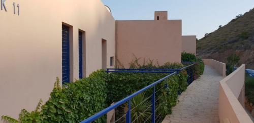 ImagenAtalaya Graceful 2