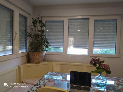 ImagenEL Rincon de Alicia 2