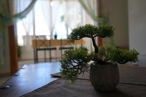 ImagenVillamartin plaza golf 6