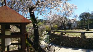 ImagenValdolázaro 6