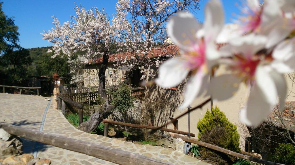 Valdolázaroimagen principal