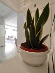 ImagenApartamento Jardín Cerca del Centro 3