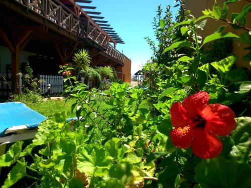 ImagenHostal Playa Mazagon (El Remo) 2