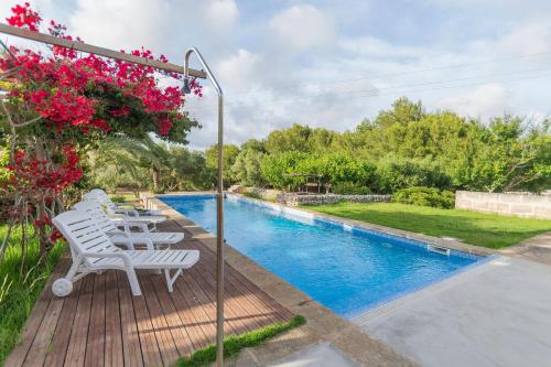 ImagenLa casa en el pinar 1