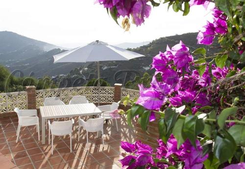 ImagenCortijo Bellavista 2