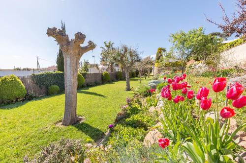 ImagenVilla Mas Guelo 2