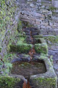 ImagenApartamentos La Cañada Birding 3