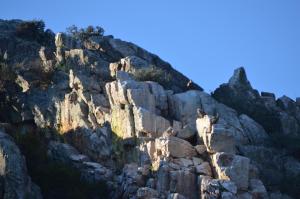 ImagenApartamentos La Cañada Birding 4