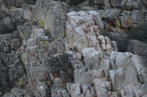 ImagenApartamentos La Cañada Birding 5