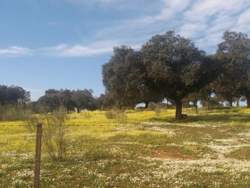 ImagenApartamentos de Astroturismo la Cañada 1