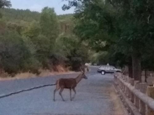 ImagenApartamentos de Astroturismo la Cañada 2