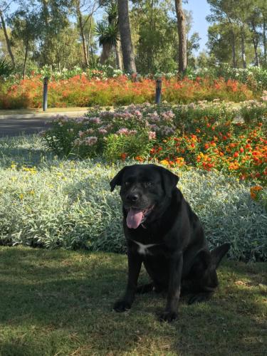 ImagenHotel Admiral Casino & Lodge 1