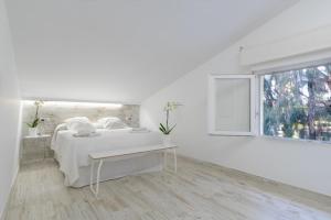 ImagenApartamento Playabella 6