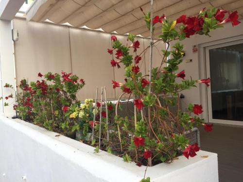 ImagenLux Home Marina Casares Beach 1