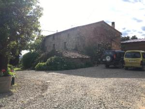 ImagenCeller Colltor 6